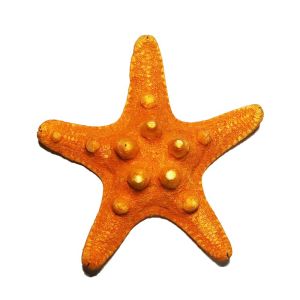 Steuben Galss スターフィッシュ ヒトデ 置物 Steuben Galss スターフィッシュ ヒトデ 置物 Steuben Galss