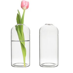 Glass Dome Bullet Bud Vase with flower
