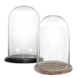 two Glass Cloche Display Dome With Black/Burnt Wood Base
