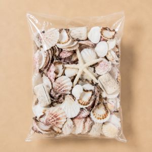 White Mixed Shells with Finger Starfish Bowl Vase Fillers