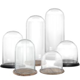 Large Glass Cloche Display Dome Black/Burnt Wood Base | Glass Vases Depot