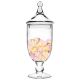16.5 Inch Tall Clear Apothecary Jar Candy Buffet Container