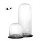 Glass Cloche Display Dome With Black Wood Base H-7