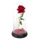 Glass Cloche Display Dome With Black Wood Base (H:15