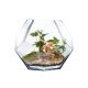glass terrarium vase geometric
