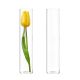 glass cylinder bud vases