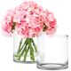 Clear Glass Cylinder Vase (H:8