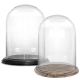 glass dome cloche brown wood base