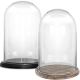 Glass Cloche Display Dome With Black Wood Base