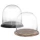 two Glass Cloche Display Dome With Black and Burnt Wood Base