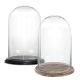 two Glass Cloche Display Dome With Black/Burnt Wood Base
