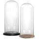 two Glass Cloche Display Dome With Black/Burnt Wood Base