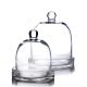 Glass Cloches Dome with Glass Tray Tabletop Terrarium
