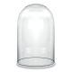 Glass Cloche Display Dome (H:14