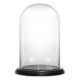 Glass Cloche Display Dome With Black Wood Base (H:16