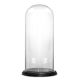 Glass Cloche Display Dome With Black Wood Base (H:20