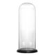 Glass Cloche Display Dome With Black Wood Base (H:24.5