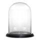 Glass Cloche Display Dome With Black Wood Base (H:16