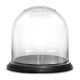 glass cloches dome