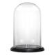 Glass Cloche Display Dome With Black Wood Base (H:15