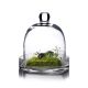 Glass Bell Cloche Display Dome With Glass Tray (H:8