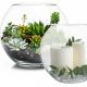 Glass Large Bubble Bowl Large Centerpieces. W-12