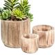 Natural Wood Cylinder Collection, Wooden Cachepot, Multiple Sizes & Packing