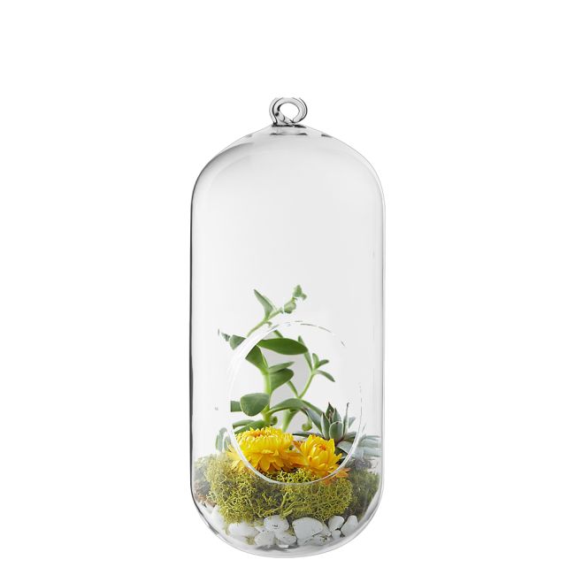 9.5" Glass Hanging Plant Terrarium Capsule Tealight Holder | Glass Vases  Depot