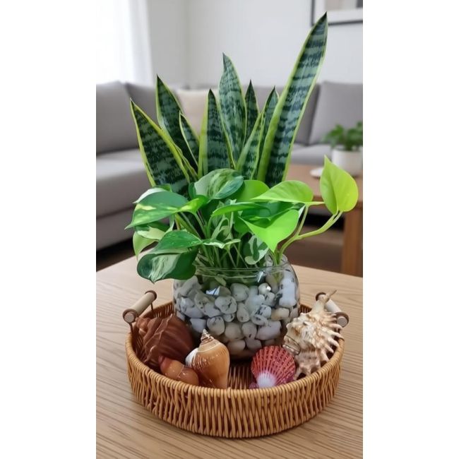 Glass Terrarium Containers Glass Terrarium Containers