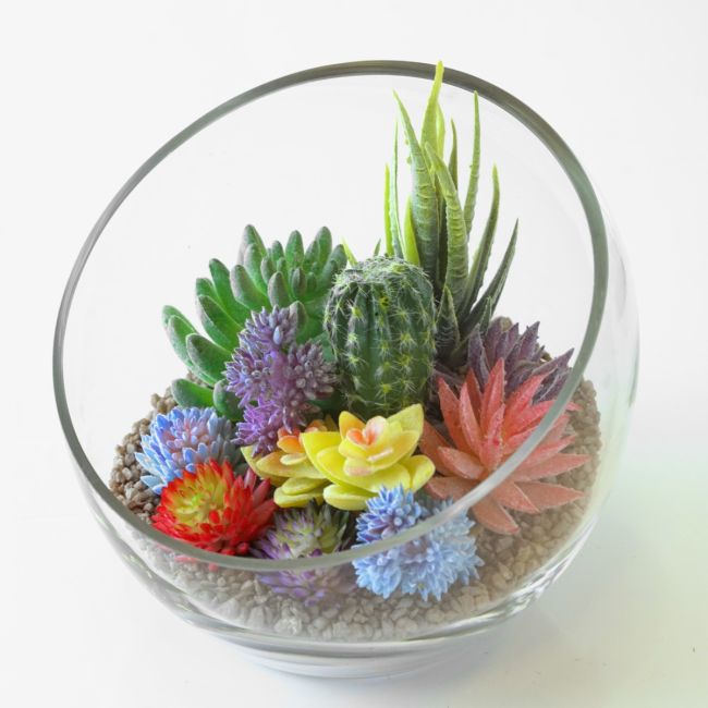 Glass Terrarium Bowl Slanted Slant Cut for Succulent Plant Container Glass Terrarium Bowl Slanted Slant Cut for Succulent Plant Container