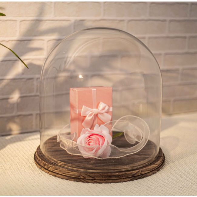 Stonebriar 8.5 Inch Clear Glass Dome Cloche met Rustieke Houten Basis