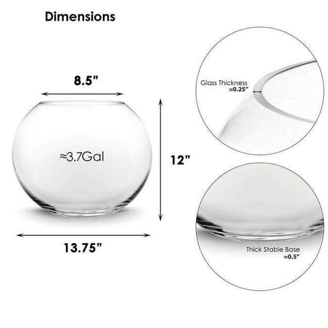 Large Glass Bubble Fish Bowl Terrarium Vase | Glass Vases Depot