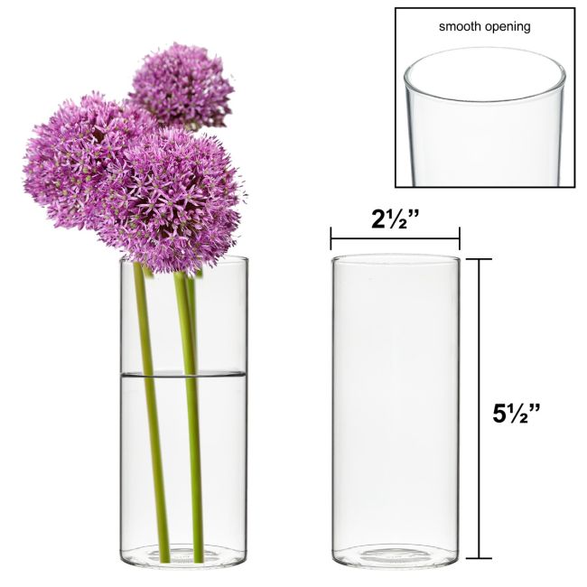 Glass Cylinder Bud Vase, H-5.5