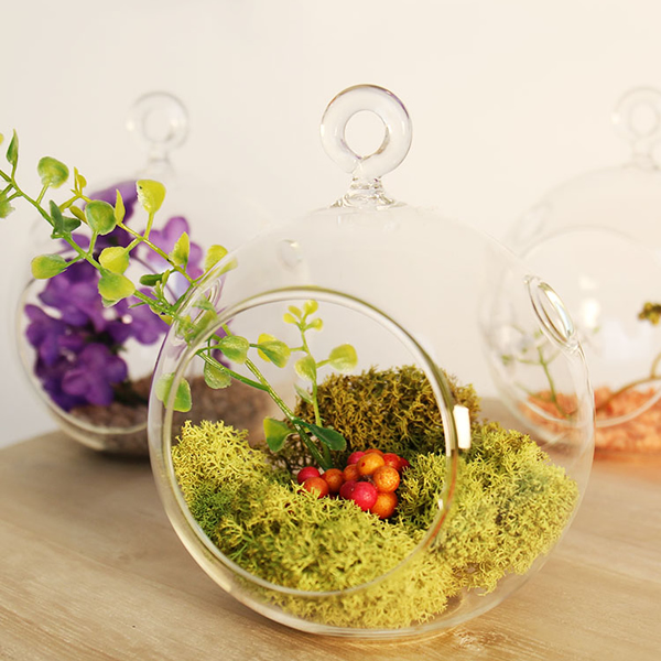 How to Pick a Glass Terrarium at Home for Low-Maintenance Plant Decor