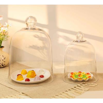 Glass cloche decor ideas for seasonal displays and home styling