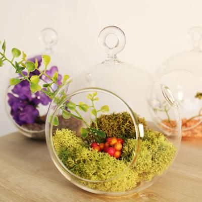 Glass terrarium for low-maintenance plant decor at home