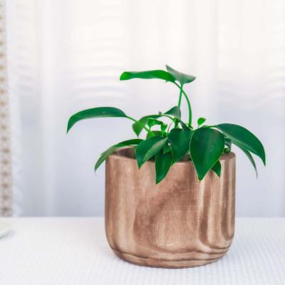 Wood planter box ideas for indoor greenery and home decor
